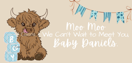 Baby Shower Banner