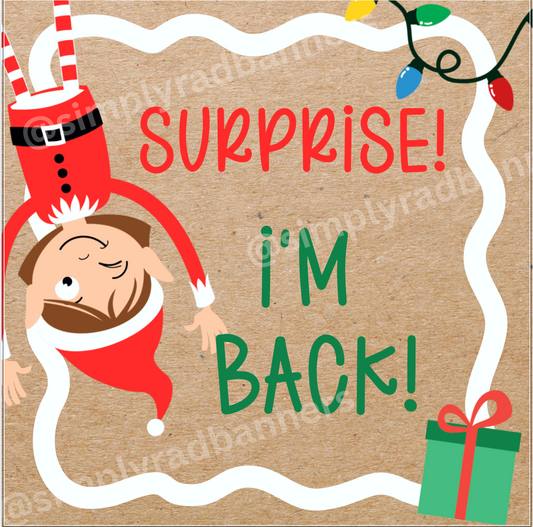 GIRL Elf on the Shelf Banner